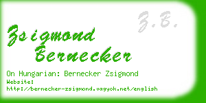 zsigmond bernecker business card